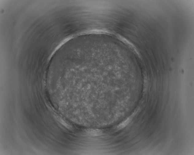 X0000084051170200703161849