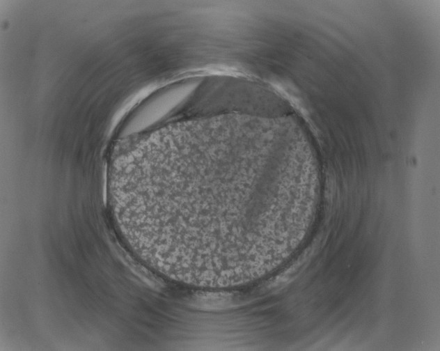 X0000084051171200703161849