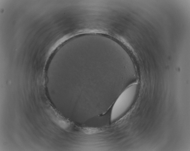 X0000084051173200703161849