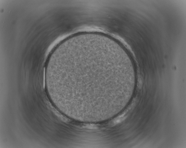 X0000084051175200703161849