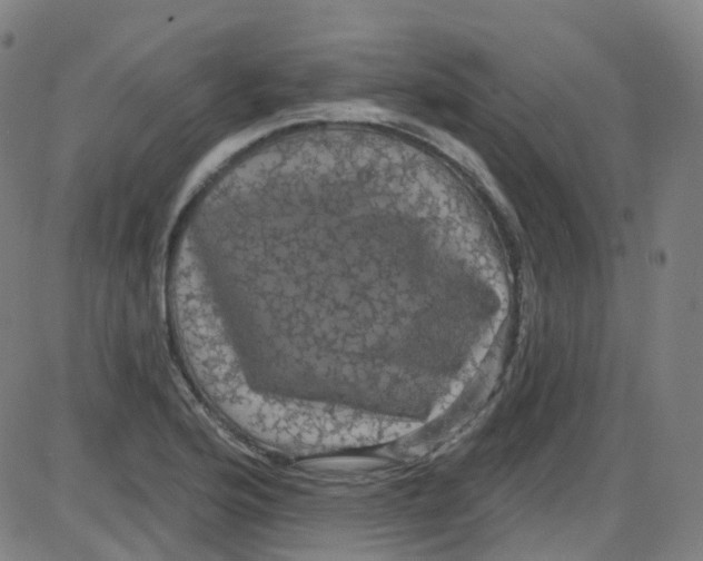 X0000084051176200703161849