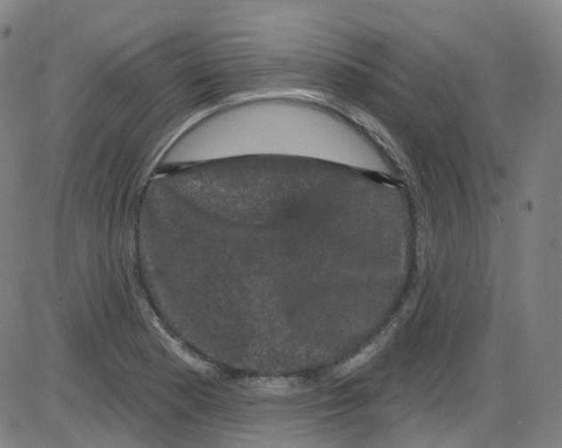 X0000084051177200703161849