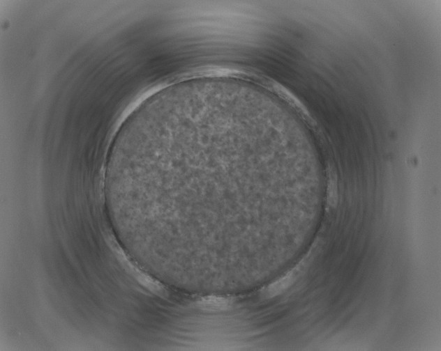 X0000084051178200703161849