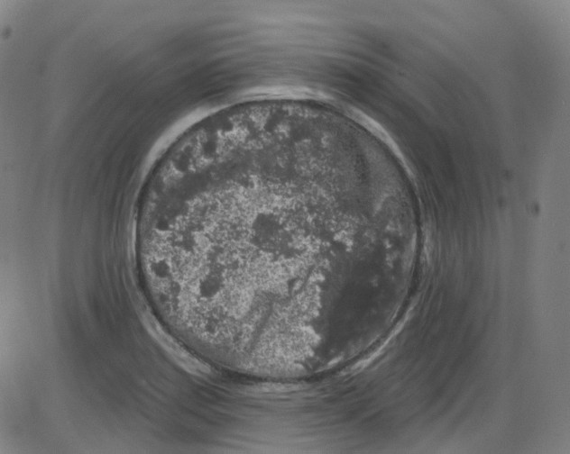 X0000084051179200703161849