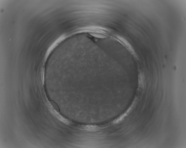 X0000084051180200703161849