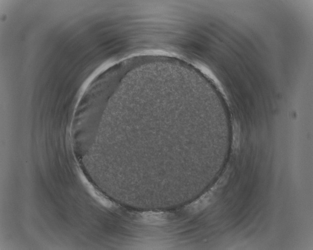 X0000084051181200703161849