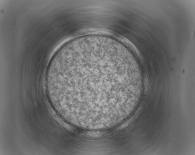 X0000084051182200703161849