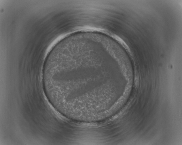 X0000084051183200703161849