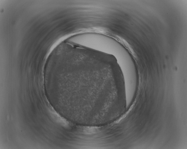 X0000084051184200703161849