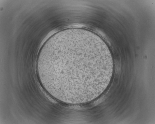 X0000084051186200703161849