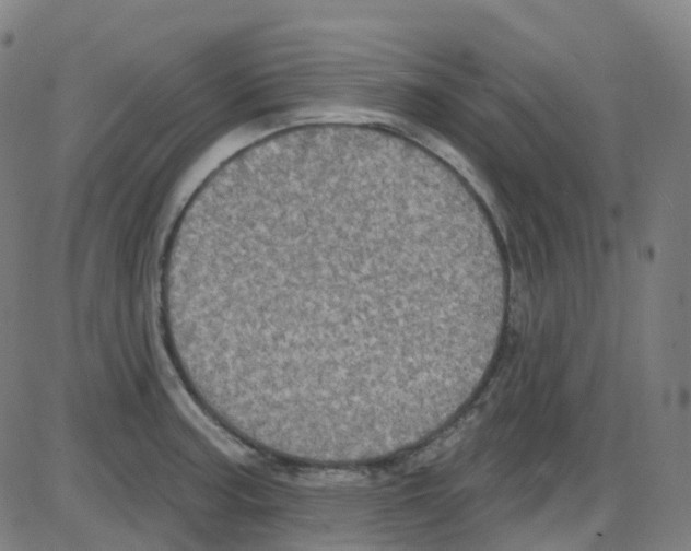 X0000084051187200703161849