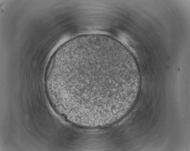 X0000084051189200703161849