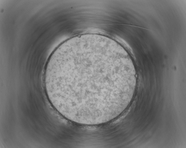 X0000084051190200703161849