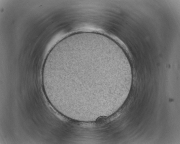 X0000084051191200703161849