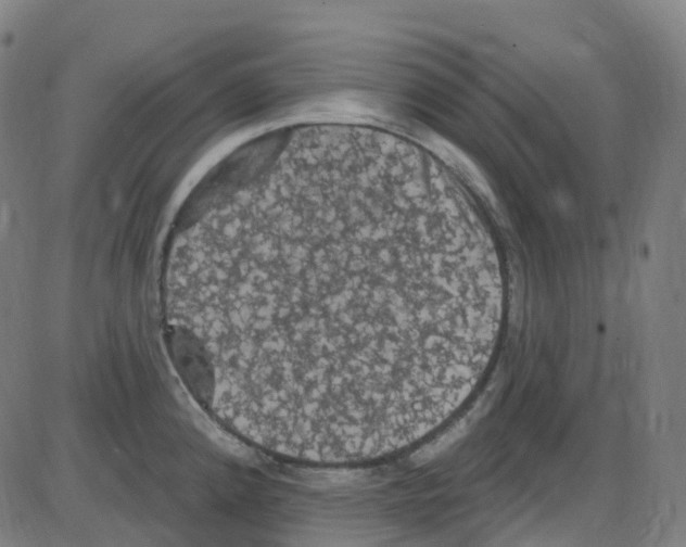 X0000084051192200703161849