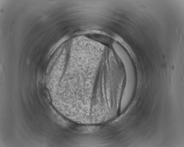 X0000084051193200703161849