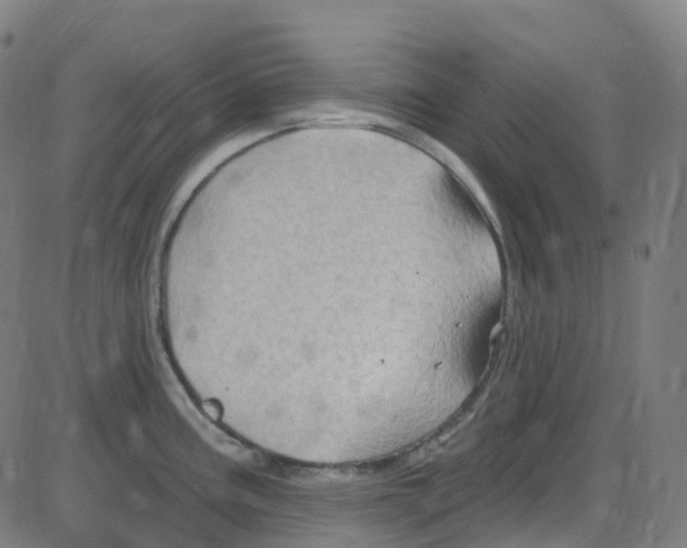 X0000084051195200703161849