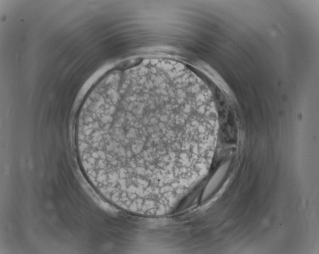 X0000084051196200703161849