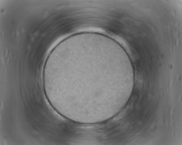 X0000084051199200703161849