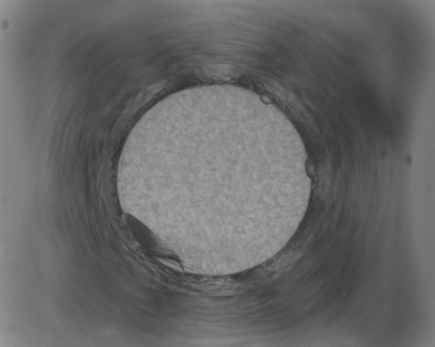 X0000084051201200703161848