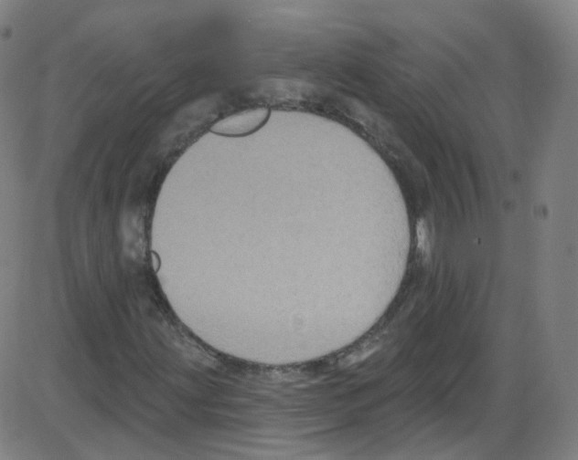 X0000084051203200703161848