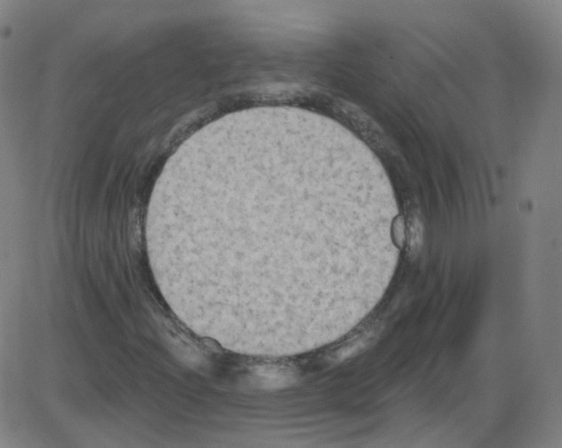 X0000084051204200703161848