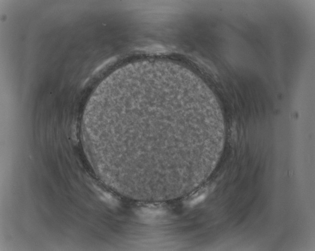 X0000084051205200703161848