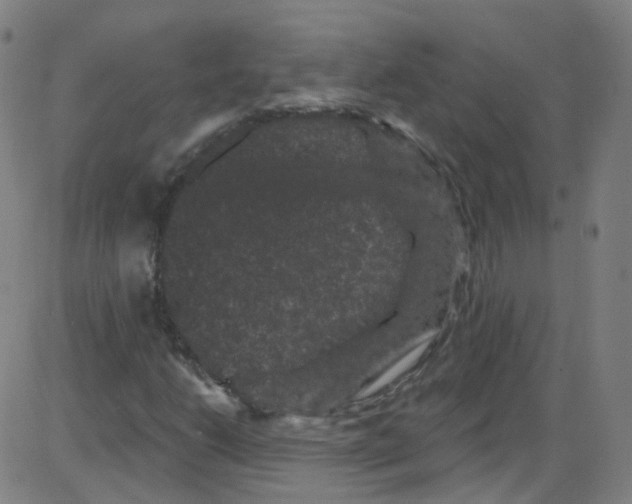 X0000084051206200703161848