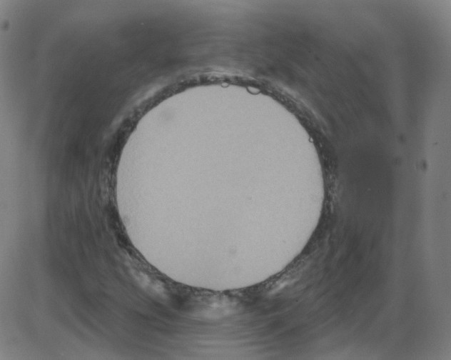 X0000084051207200703161848