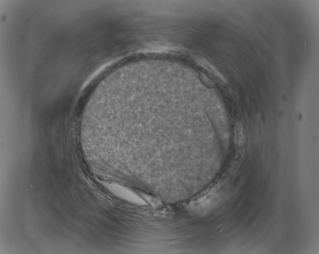 X0000084051208200703161848