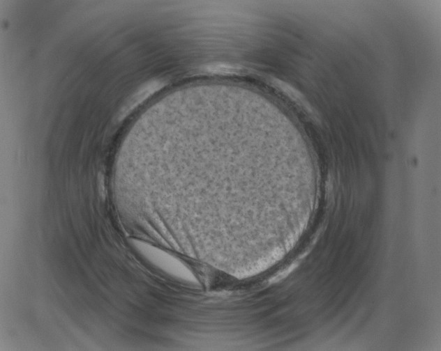 X0000084051209200703161848