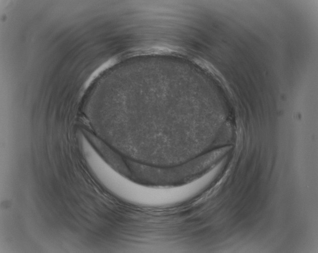 X0000084051210200703161848