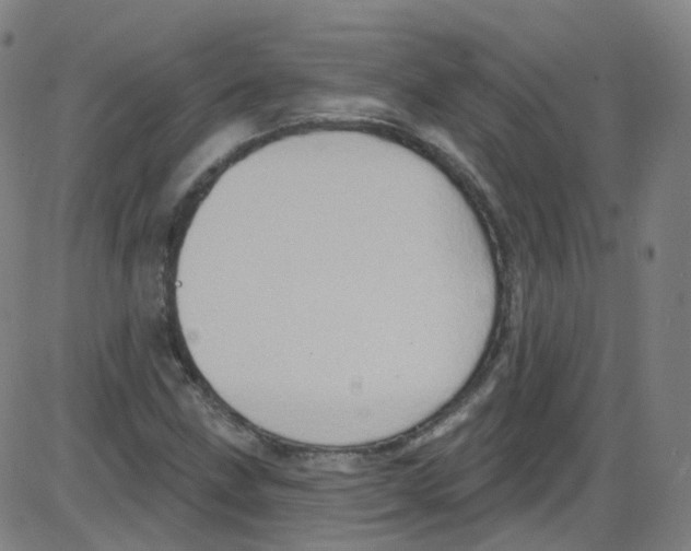 X0000084051211200703161848