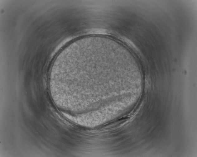 X0000084051212200703161848