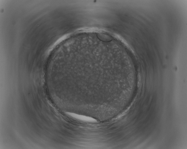 X0000084051213200703161848