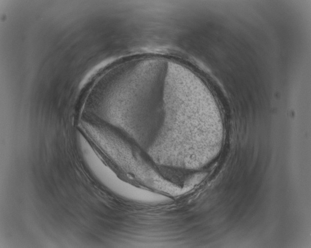 X0000084051214200703161848