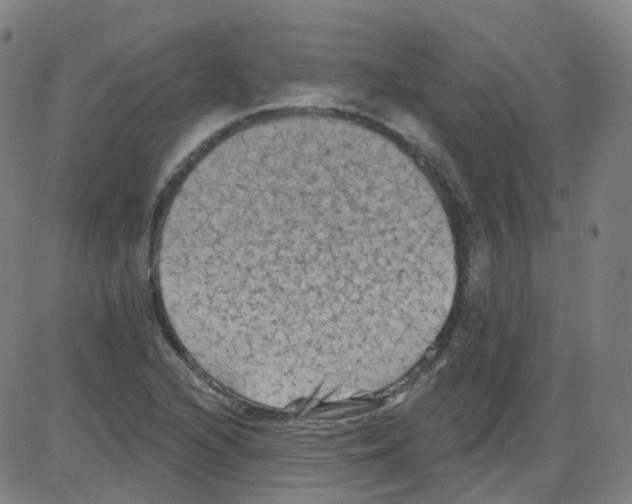 X0000084051216200703161848