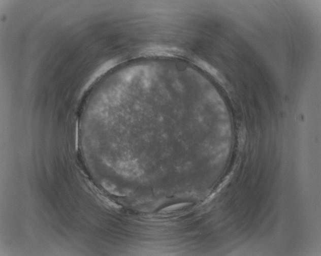 X0000084051219200703161848