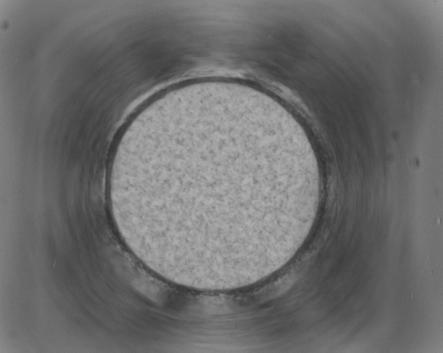 X0000084051220200703161848