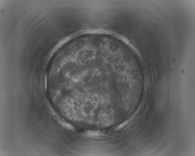 X0000084051221200703161848