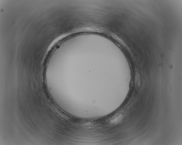 X0000084051222200703161848