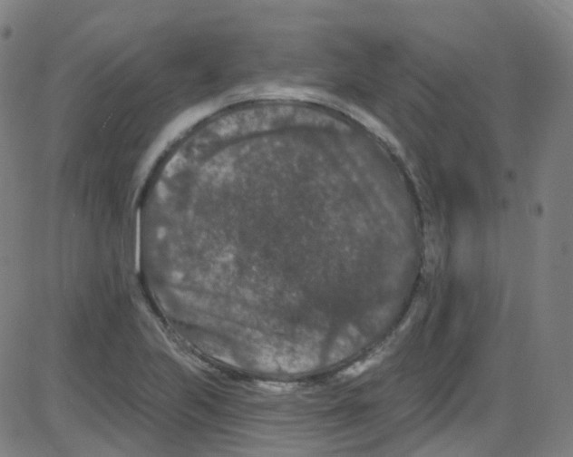 X0000084051223200703161848