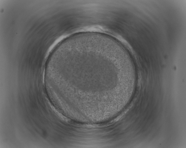 X0000084051224200703161848