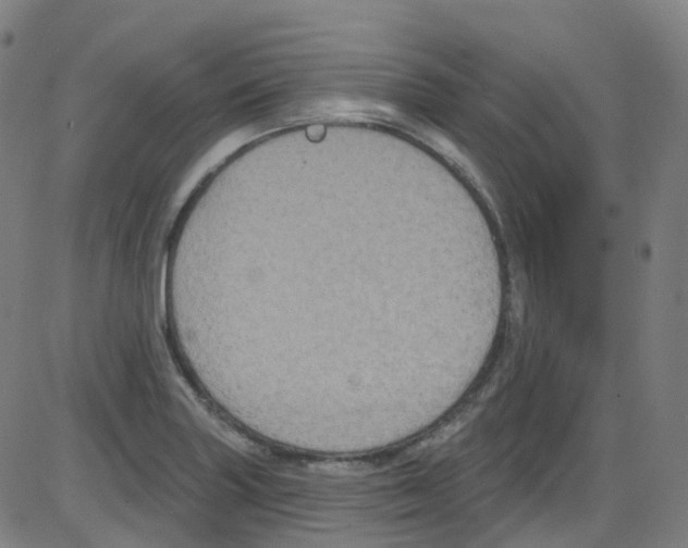 X0000084051227200703161848