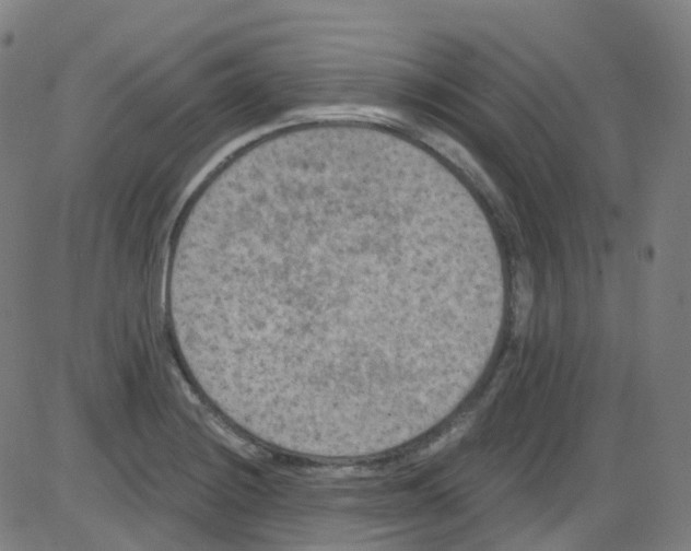 X0000084051228200703161848