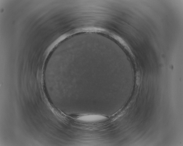 X0000084051229200703161848