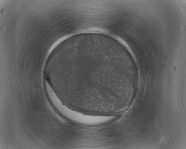 X0000084051230200703161848