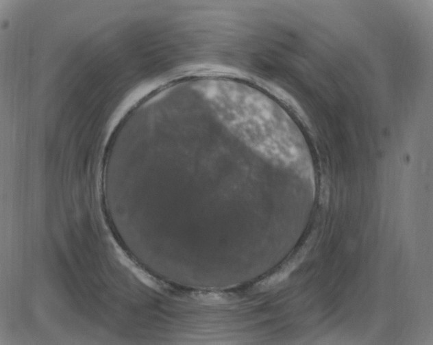 X0000084051231200703161848