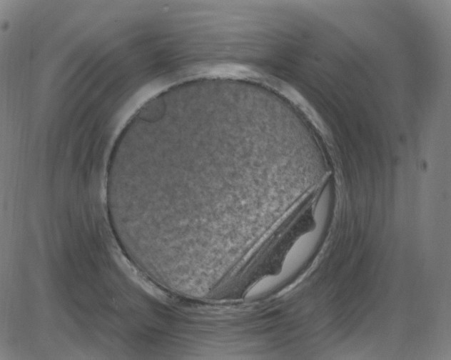 X0000084051232200703161848