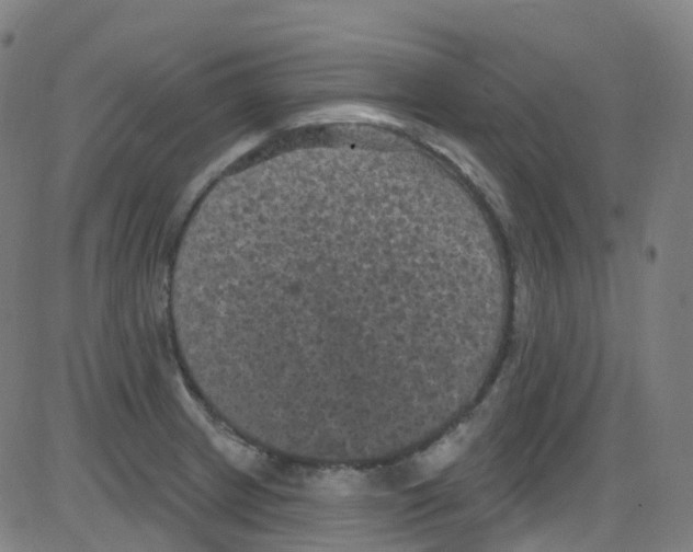 X0000084051233200703161848